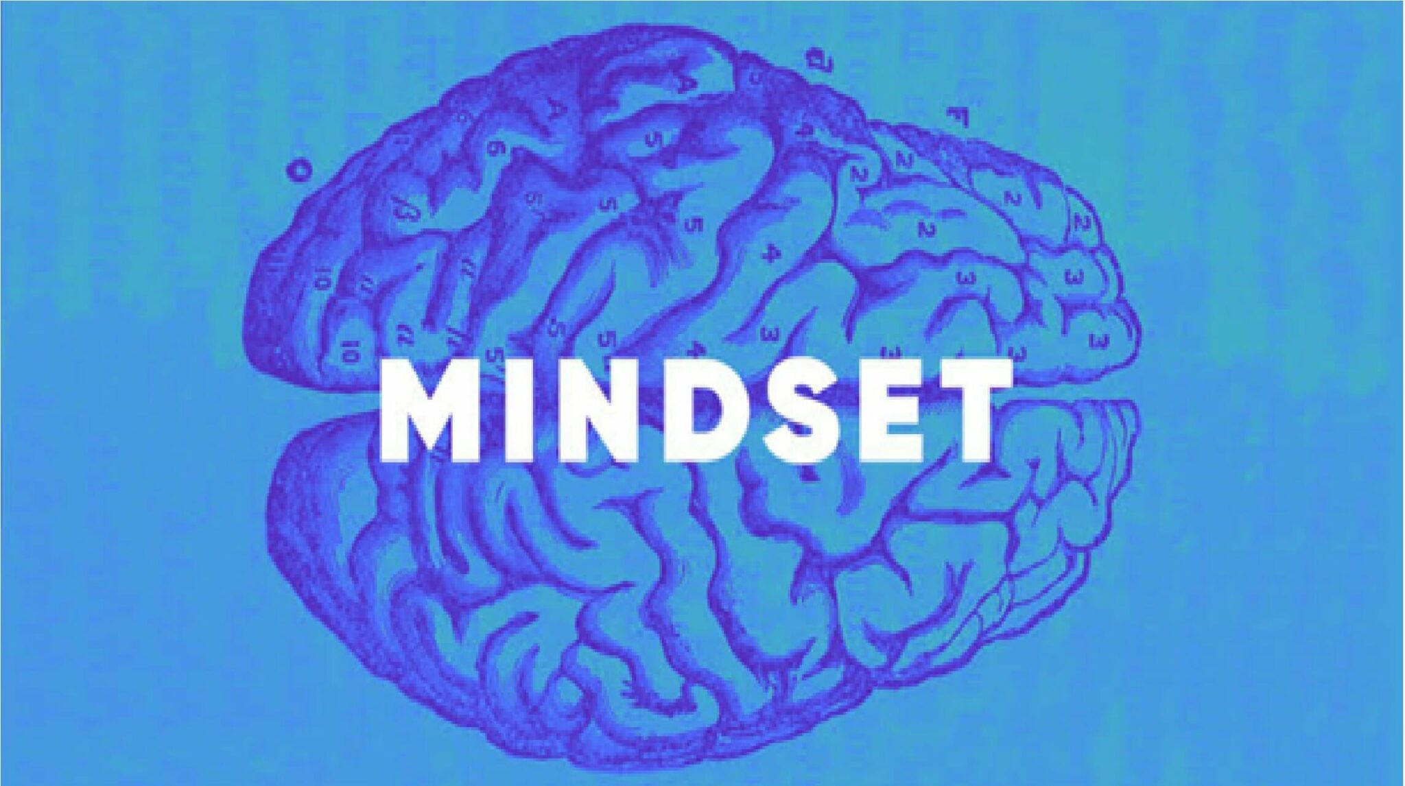 O que é Mindset e como desenvolvê-lo para alcançar o sucesso?