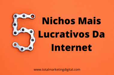 Os 5 Nichos Mais Lucrativos da Internet!