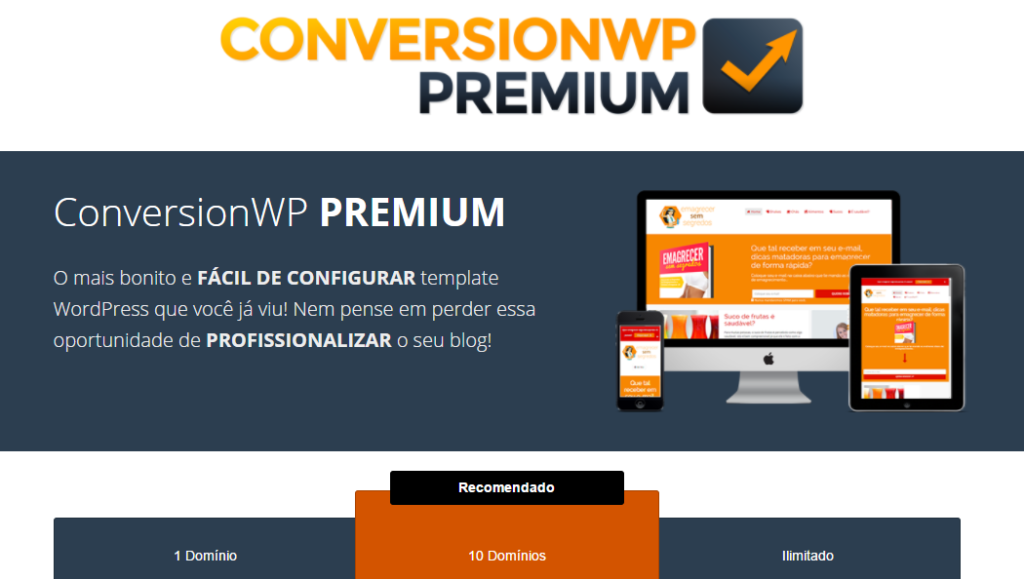 Tema Conversion WP